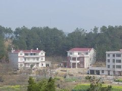 聰明建房巧居家 屋面就選合成樹脂瓦